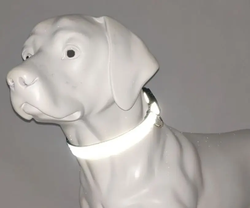 zap collar