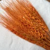 Orange foncé