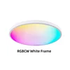 RGBCW White Frame