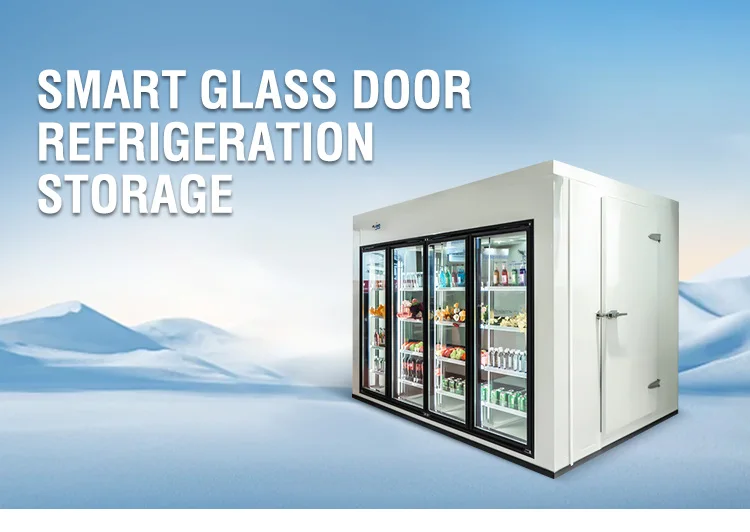 Window Spec For Cold Storage Commercial Copeland Glass Door Walk-in Cold Room Adjustable Temperature ...