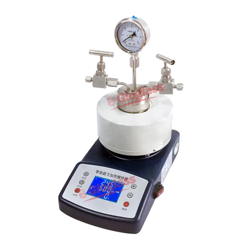 High Temperature High Pressure Reactor Lab Polymer Synthesis Autoclave Reactor