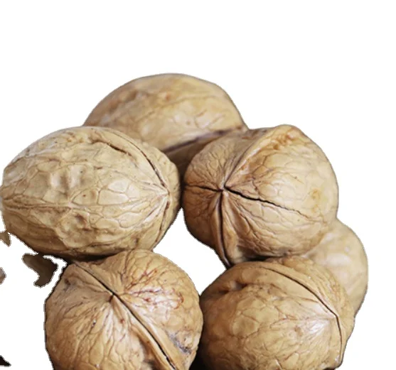 Walnuts 2_47c883ba-43c5-4cfe-99ab-