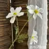 Fiore gesang bianco a tre teste