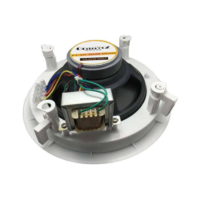Music Ceiling Speaker Best In Wall Home 