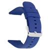 Blue+Silver Buckle