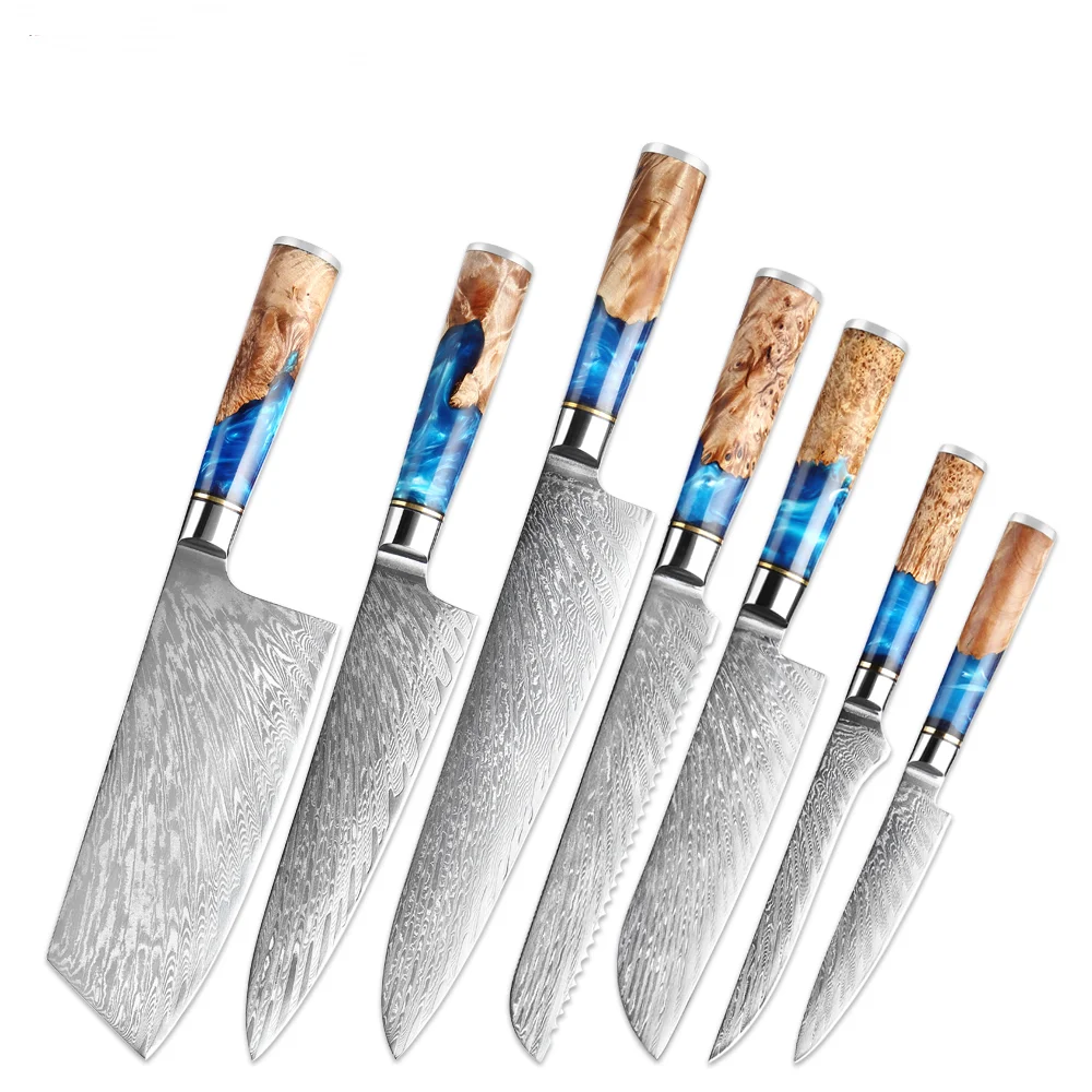 7 PCS 67 Layer Vg10 Damascus Steel Kitchen Knife Set with Black Pakkawood  Chef Slicing Bread Santoku Utility Paring Fruit Knife - China Kitchen Knife  and Kitchen Knife Set price