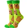 Chow chow vert