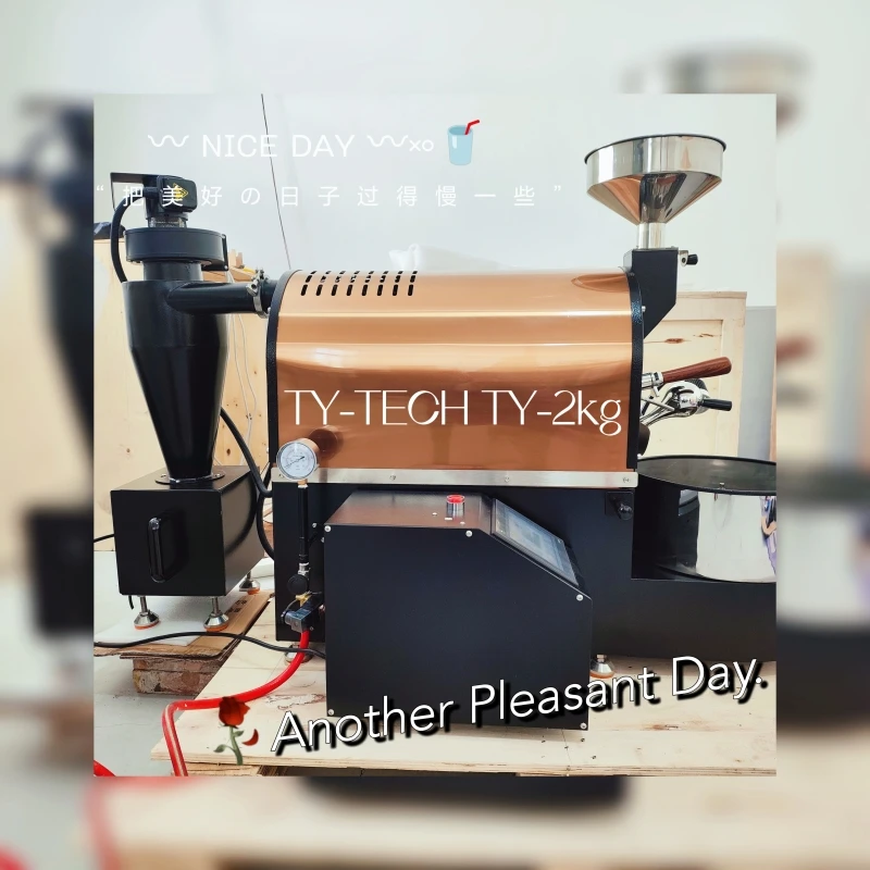 Golden Home 500g 1kg Electric Coffee Bean Roaster Gas Sample for