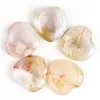 Sakura agate / flower agate