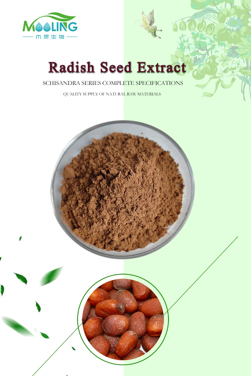 Best Price Radish Seed Extract Radish Seed Powder Buy Turnip Seed