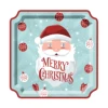 10.5inch paper plate*8 pcs