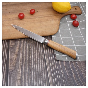 High Quality 5 Inches Damascus VG10 Professional Kitchen Utility Knife with Natural Olive Wood Handle