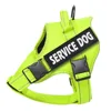 Fluorescent green