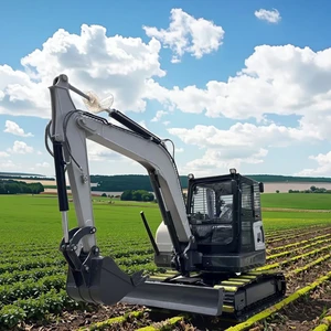 Micro Bagger Multifunctional Excavators Customize Compact Mini Excavators With Bucket