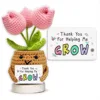 Pink-grow-without base