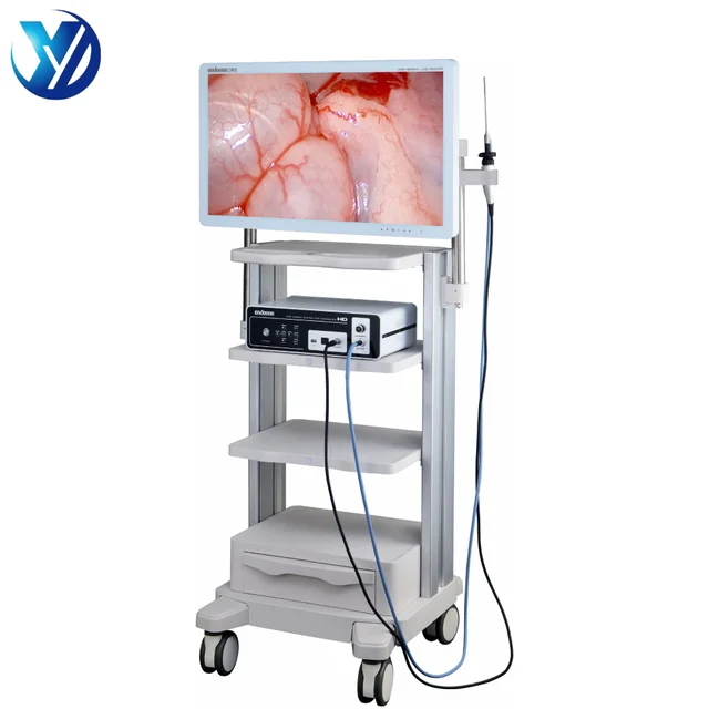 3 in 1 Full HD Portable Medical Endoscope Digital Camera System for Laparoscope Ent Cystoscope Examination Surgery