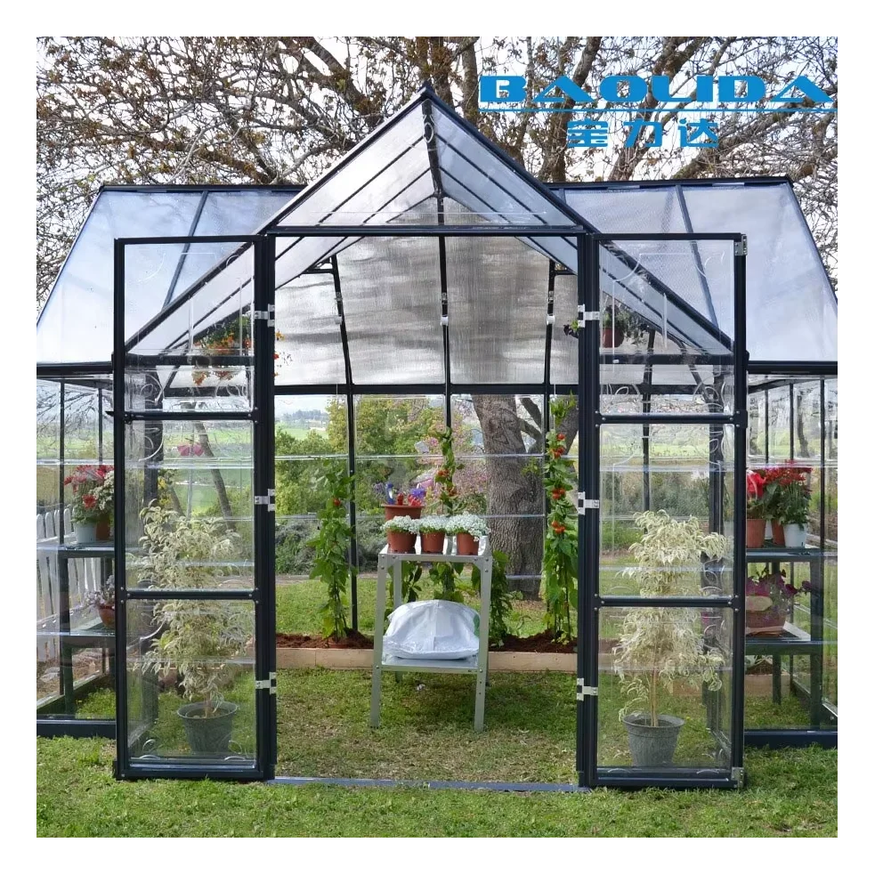 Small Steel and Glass Commercial Garden Greenhouses for Agriculture Use