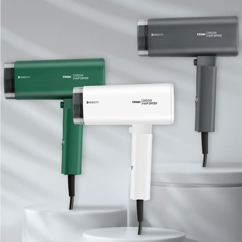 CDWK Ionic Plastic DC Motor Electric Wall-Mounted Salon-Grade 2000W High-Speed Professional Hair Dryer for Household & Hotel Use