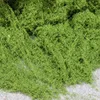 Light green filamentous moss 500g