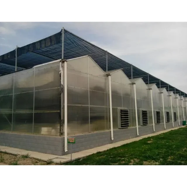 China Factory Supply Good Light Transmission Solar Panels Photovoltaic Glass Greenhouse