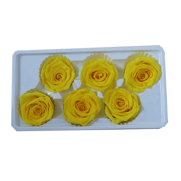 Infinity Rose Preserved Eternal Roses With Long Life True Love Roses