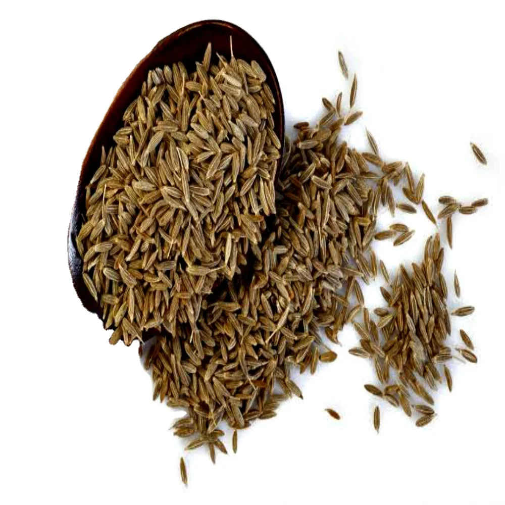 dried cumin seeds spices for wholesale price