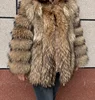 raccoon