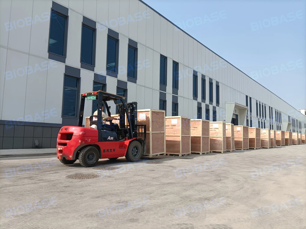 Biobase Bdv2n Digital With Lcd Display Buy