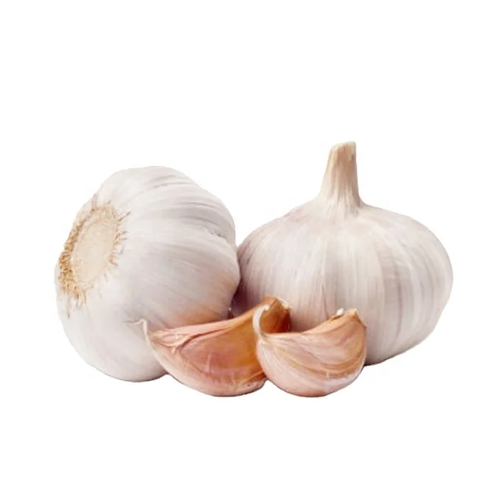 Garlic Chinese wholesale garlic 2020 Fresh New Crop Garlic in bulk for import/export in low price