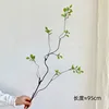Long branches and green leaves