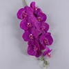 Morado oscuro