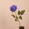 สีม่วงเข้ม