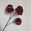 Withered Peony