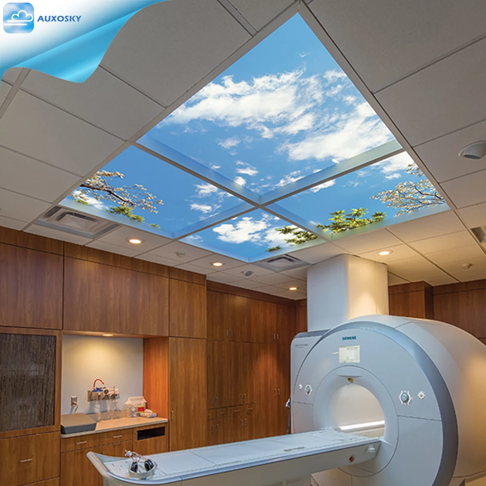 AUXOSKY Clear Warehouse Industri Skylight Diffuser 3D Sky Cloud Image Panel Led Virtual Skylight Mood Sky Ceiling TV Panel Light