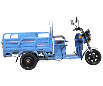 Three wheel car cargo electric chinese electric tricycle Bicycle City Cargo Electric Tricycle