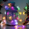 Multi-color Star
