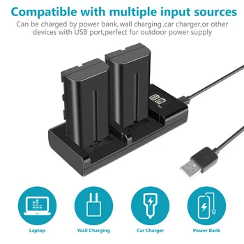 Neewer NP-F550 Battery Charger Set for  NP-F970 F750 F960 F530 F570 CCD-SC55 TR516 TR716 and More 2-Pack 2600 Replacement detail image
