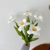 Cinco tulipanes blancos en flor