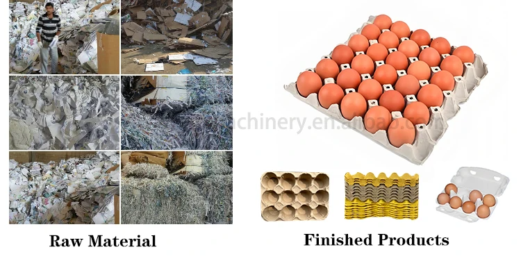 Machinery for Making Egg Trays Using Waste Pulp and Sugarcane Bagasse Hot Selling in China details