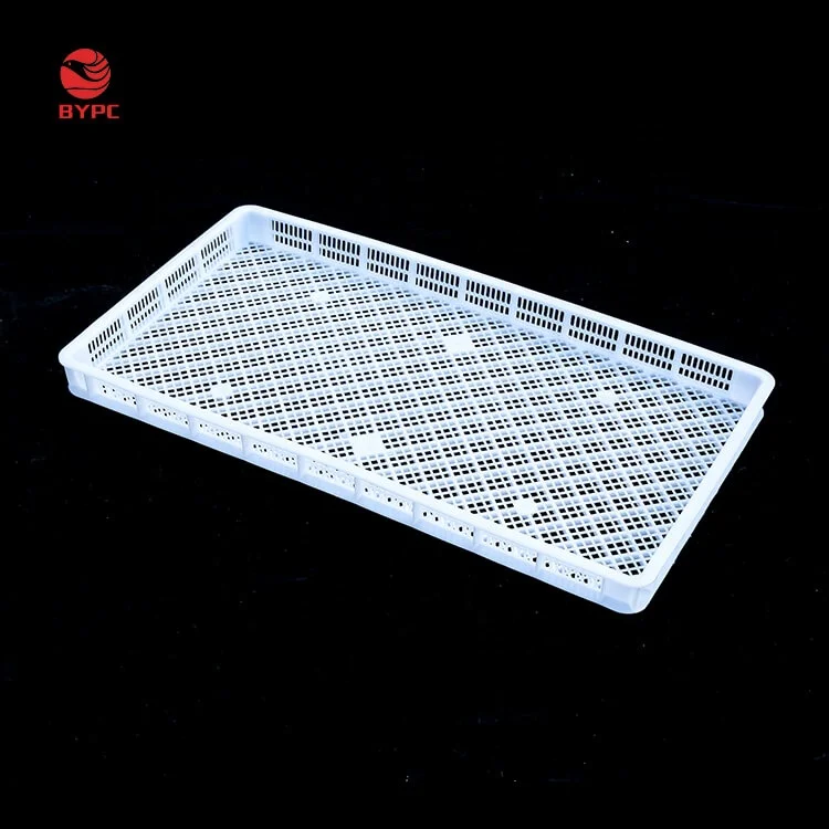 Factory BYD-005 seafood freezing basket candy plastic stacking rice drying tray