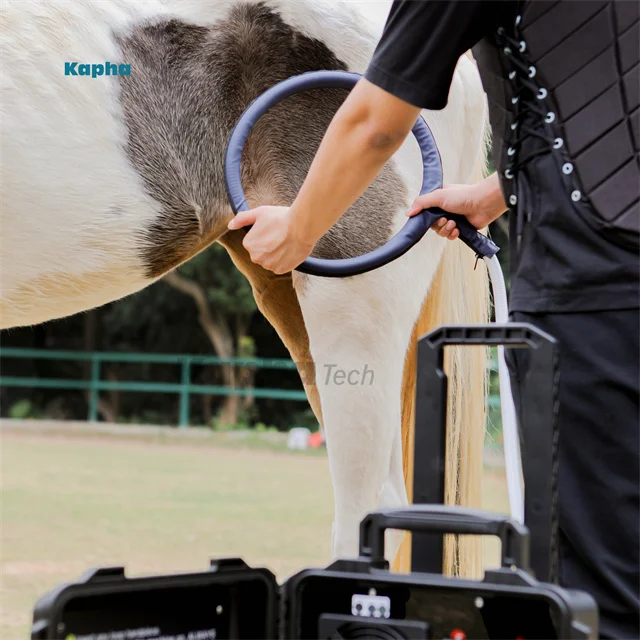 New Version PEMF Magnetic Therapy PMST Loop Pro B Magna Wave PEMF for Horses Pain Management