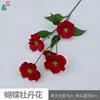 Pivoine Papillon BD Rouge