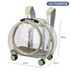 1904-2 Fully Transparent Light Green