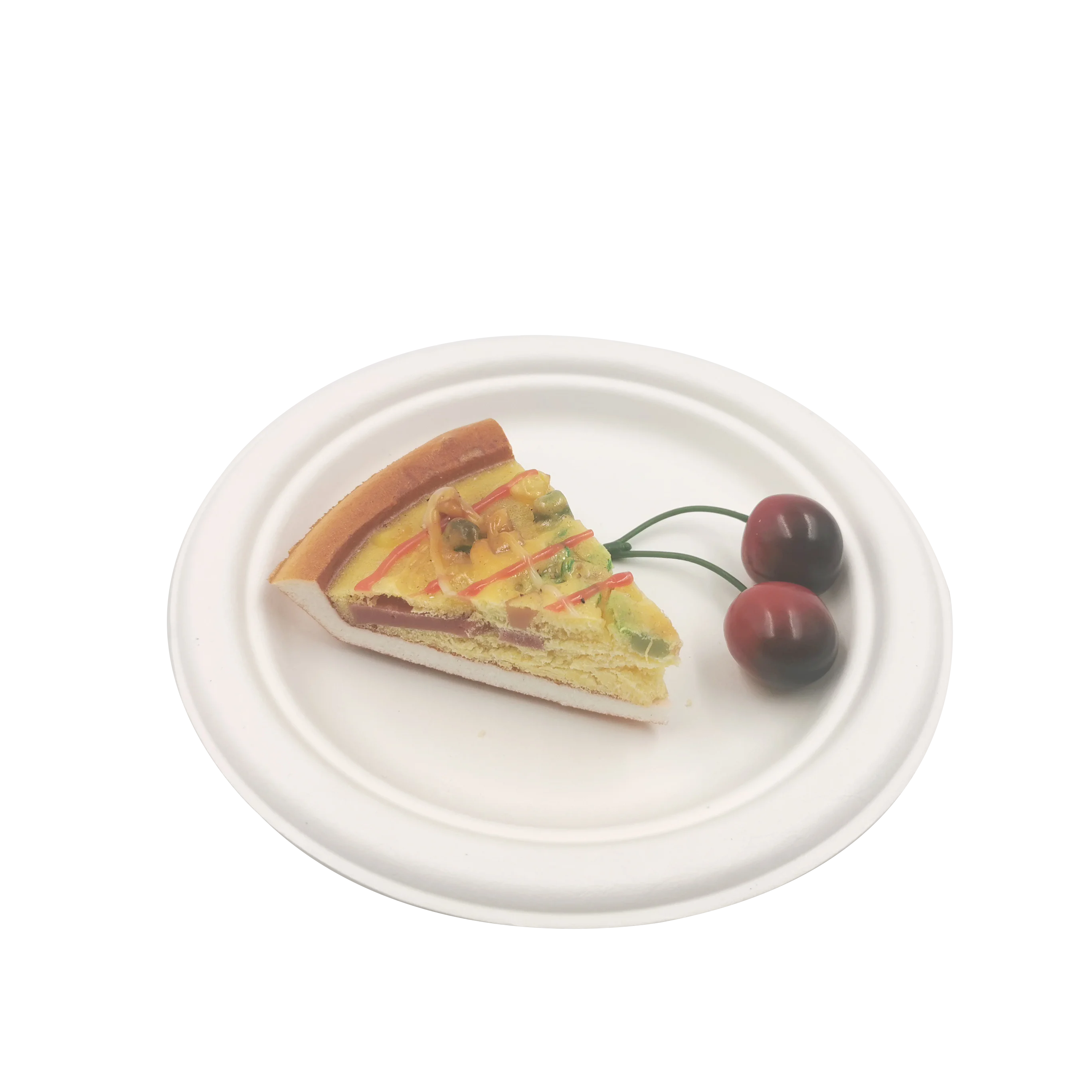 disposable compostable plate sugarcane bagasse tableware for