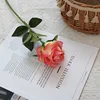 Rose pink