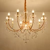 10 Lights