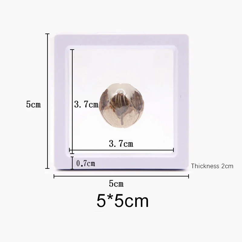 Wholesale Caixas de embalagem de joias de filme pe transparente, caixas  pretas de embalagem de joias com logotipo From m.alibaba.com