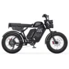 Black + 2 Battery(20Ah*2)