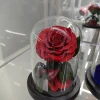 rosso scuro (10*16 cm)