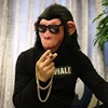 Chimpanzee headgear